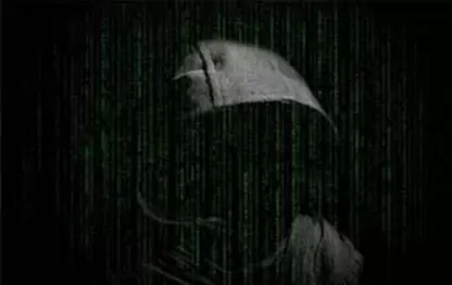 Security – We zeggen het niet alleen, we doen het ook!